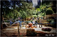 /album/fotogaleria-girona/josep-costart-166-640x480-jpg/